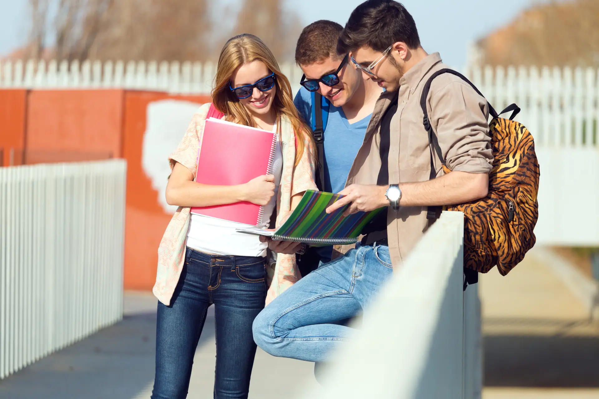 Study Abroad in Australia – A Complete Guide for International Students